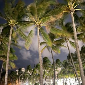 Meet your Posher, Sherene